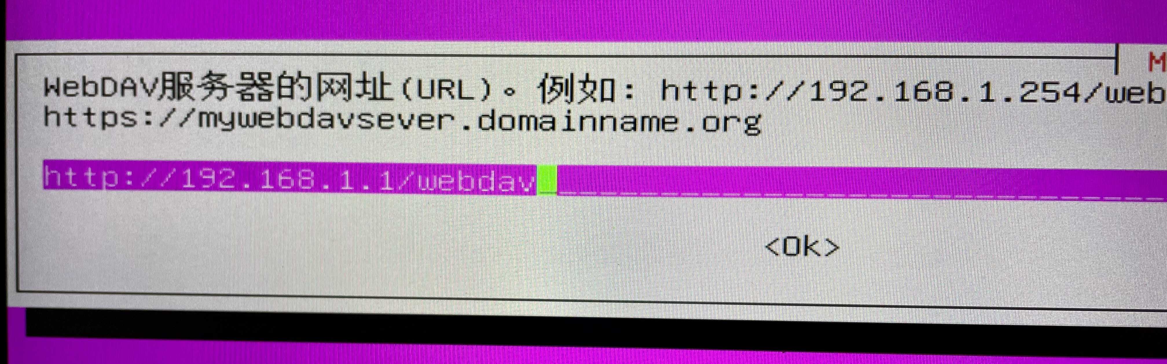 填写 Webdav 服务器地址